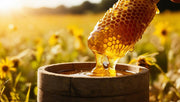 Wild Raw Unfiltered Wildflower Honey