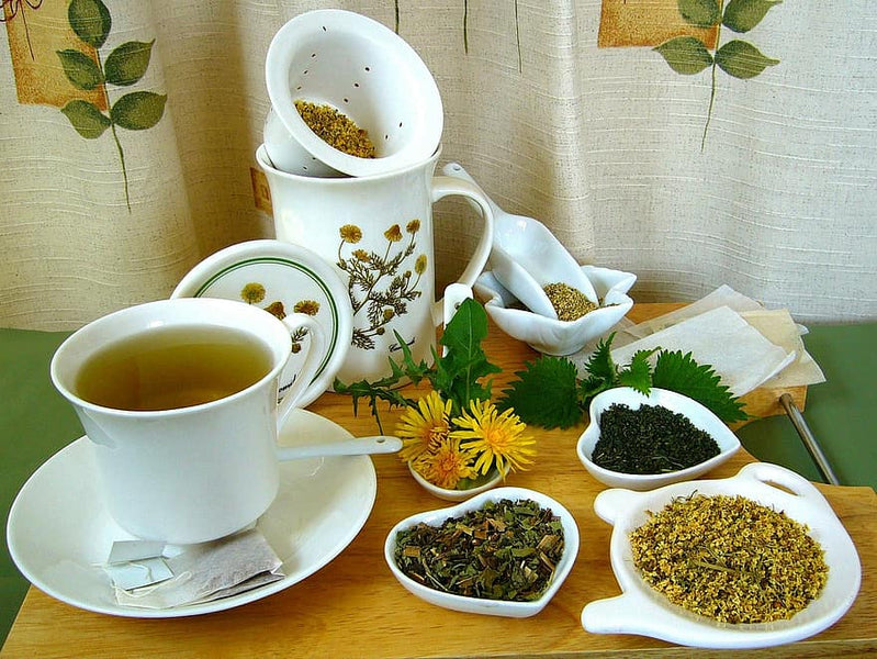 https://yoteas.com/cdn/shop/products/herbal-tea-herbal-herbalism-herbal-teatime-herbs-healthy-therapy-health-medicine_800x600.jpg?v=1597013655